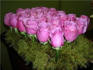 Flowers Plus, Charlotte — Bed of Roses