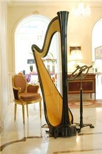 Nadia Pessoa - Harpist