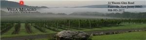 Villa Milagro Vineyards