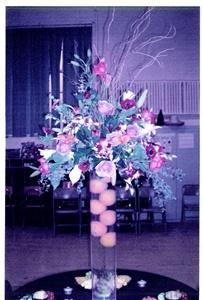 Festa Event Planning, Paterson