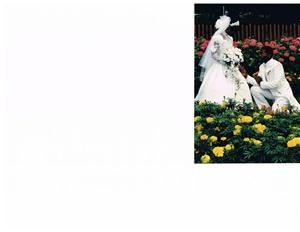 Elegant Events And Moments By Cindy Stevens