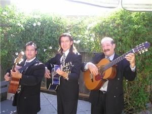 Mariachi Trio Estrellas De Oro... Mariachi Band, San Francisco — TRIO ESTRELLAS DE ORO 
408-807-9446 
Escuchenos listen here http://www.serenatasdirecto.com 
Mariachi trio available for your next event. We provide live music for private parties, weddings and ceremonies. 

We Cover the entire Bay Area. 
Contamos con un amplio Repertorio La Bamba,Guantanamera,Gema,Tres Regalos. etc. Service Details 

Event Types Wedding, Banquet / Dinner, Private Party, Corporate Event, PR / Marketing Event, Meeting, Conference, Convention, Lecture / Speaker, Stage Performance
