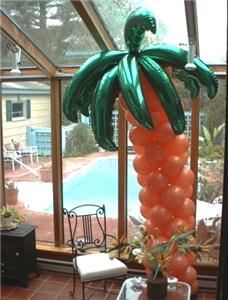 Balloon Extravaganzas Certified Master Balloon Artist Daryl Baldwin