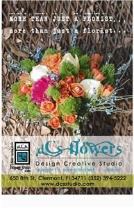 Design Creative Studio Incorporated