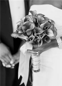 Toolip Events And Design