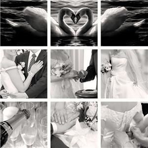 Made For Each Other Weddings, Clearwater