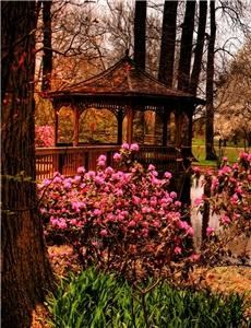 Toledo Botanical Garden, Toledo — Pond Gazebo