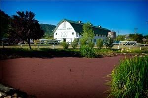 Springville Ranch