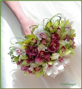 Artistry in Bloom Floral Design Studio, Victoria — Bridal bouquet of white,green, and burgundy cymbidium orchids with white spray roses and bear grass loops.