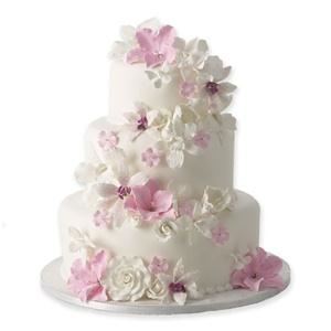 Amelia's Cakes, Washington