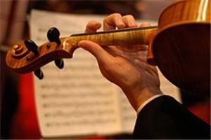 Belle Arte String Quartet