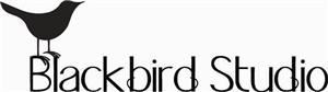 Blackbird Studio Photography and Design, Lewisburg — Blackbird Studio believes there is beauty everywhere - waiting to be captured. We pride ourselves on making clients feel like themselves so we can preserve the best parts of them. Our style is natural and our process is the same. We prefer to meet our clients before any photo shoot to decide on location, theme and budget. We prefer to photograph families in their homes and natural settings whenever possible. We feel this creates a unique portrait, one that is distinct to your personality. From sophisticated to slap-stick, let us reveal you for who you are. Let us capture your memories.