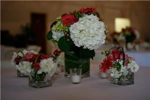 Mother Earth Floral Design & Event Planning  Florence, Florence
