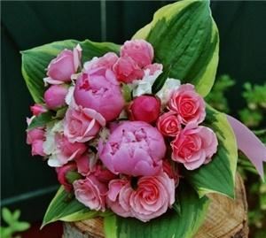 Blooms Flower Shoppe - Boston - Dover