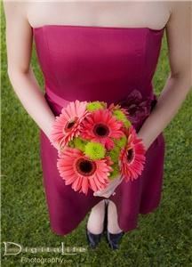 Digitalife Photography, Kelowna