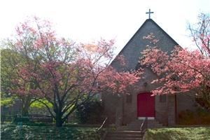 Saint Timothy's Episcopal Church, Columbia — St. Timothy's Episcopal Church is an open, inviting and welcoming community of faith.  We welcome non-members to hold their special events such as weddings, funerals or even baptisms in our sanctuary.  You may choose your own officiant or have our Rector, Rev. Tula Henson be the officiant.  Contact the church at 803-765-1519 for more information.