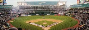 McAfee Coliseum