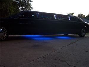 Murcielago Limos