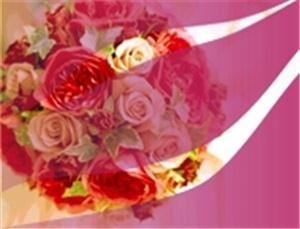 Events Made Possible, Chelmsford