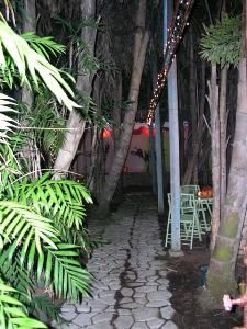 The Jungle, Trellis Floral Creations - Event Center, Los Angeles