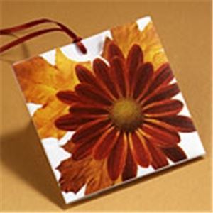 Creative Celebrations, Inc. - Brentwood