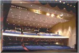 The Robert Youkey Theatre, The Lakeland Center, Lakeland — Youkey Theatre Seating 
The Youkey Theatre seats up to 2,296 persons for concerts, seminars or general session space and features state-of-the art rigging, house sound and lighting. The theatre lobby can also be used for receptions, dinners or a mini trade show area.