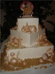 Olga's Cake Works, Pompano Beach — Sea Shell Buttercream Cake