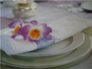 A perfect Event Productions and Party Rental