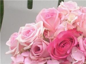 Tributes Floral Company