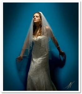 Angel Navarro Photography - Bradenton, Bradenton — Angel Navarro Photography bridal portrait