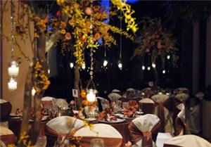 La Bella Storia Weddings & Events - Tampa