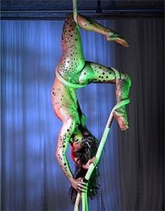 Caught In the Act Productions, Washington — Aerial Rope