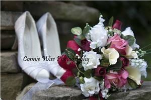 Connie Wise Photography, Meridianville