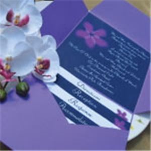 B. Joyful Invitations - Pittsburgh, Pittsburgh — Products include:

Engagement Invitations
Save the Dates	
Wedding Invitations
Programs
Menu Cards
Place Cards 
Favor Tags or Boxes 
Personalized Napkins
Champagne Flutes and Glassware 
Cake Servers 
Cake Toppers
Ring Bearer Pillows and Gifts
Flower Girl Baskets and Gifts 
Guest Books 
Garters 
Coasters 
Bridal Apparel (t-shirts, sweatshirts, etc.)
Aisle Runners 
Bridal Party Gifts
DIY Invitation Kits
Holiday Cards
& More!