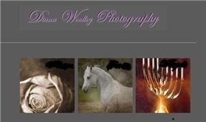 Diana Woolley Photography, Burbank