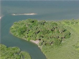 Private island for sale Port Orange, Fl, Port Orange — Welcome to IslandForSaleByOwner.com! Here we serve your real estate needs, providing you with Florida real estate in Volusia, Highland, Nassau, Suwannee, Destin, Walton, Oakaloosa, Duval, Flagler, Putnam and Brevard counties. All land for sale here are either vacant, buildable homesites, residential or commercial homes or buildings, and beautiful islands requiring boat access along the various Florida waterways! Land being sold here are usually short distances away from recreational fishing spots, boating waterways and even convenient shopping centers! Featured properties include sever intracoastal islands with by owner financing, very large potential commercial real estate and multiple homesites in Interlachen, Florida. To browse the site, either use the sitemap list on the side, or click on any pictures that are interesting. Come and see why everyone goes south for the winter!