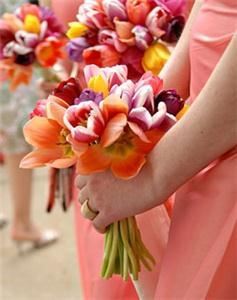 The Big Bloom