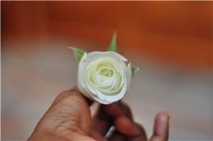 Jane Ullah Photography, Athens — Shot with a prime 50mm f/1.8 lens.