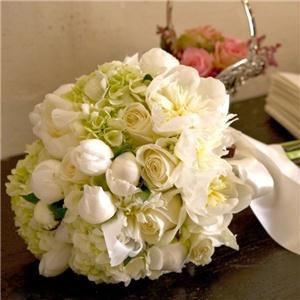 Septemb floral  fine ar s & pher Studiosotography, Snellville