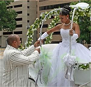 Angeli Carriages, Austin — Escorted from Angeli's Cinderella Carriage