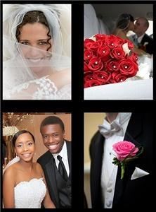 The Wedding Professionals - Wilmington, Wilmington — Maryland wedding photographers, Michael Grubb, Pete Silver,
The Wedding Professionals