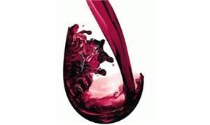 Vancouver Valley Professional Bartending