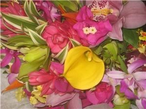 Mr. Flowers, Princeville