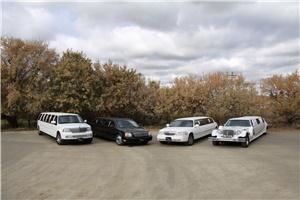 Ebel's Limousines & Event Decor, Medicine Hat — Ebel's Limousines & Event Decor

We have four Limousines for Hire.  A White Lincoln Navigator, a Black Cadillac, a White Lincoln and our Vintage Excalibur.
We also offer Wedding and Special Event Co-ordinating, Decorating and Do It Yourself Rentals.
We can help with every aspect of your Weding planning making it as stree free as possible.  From small intimate Weddings to Elaborate Affairs, we can take care of as many details as you want.  Our goal is to give you a Wedding that you and your guests will delight in.
Our decorating packages complete any Wedding or Special Event.  We offer complete Set up and Take Down for both Ceremonies and Receptions, leaving you to enjoy time with your family and friends.