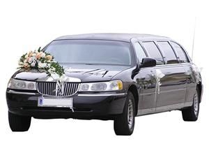 Action Limousine, Linden