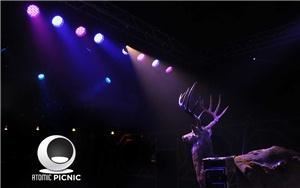 Atomic Picnic