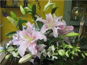 Holly Hock Flowers LLC