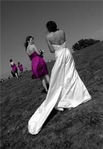 Dan Allard Photography