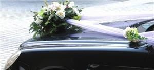 Wedding Limousine Services by PJ's World Wide, Palm Coast — palm coast
palm coast airport
palm coast limo
palm coast limos
palm coast wedding
rent a limo
rent a limousine
rent limos
renting limousine
renting service
rolls royce limo
sedan limo
sedan limousine
sedan service
service executive
star limo
stretch limo
stretch limo service
stretch limousine
stretch limousine rental
stretched limo
suv limo
suv limousine
suv service
town car service
transportation service
wedding
wedding limo
wedding limo service
wedding limo services
wedding limos
wedding limousine
wedding limousine rental
wedding limousine service
wedding limousines
wedding service
wedding services
wedding transportation
weddings service
Palm Coast Limo Service by PJs World Wide
www.elegantlimousines1.com
www.palmcoastlimos.com
www.elegantlimousinesofpalmcoast.com