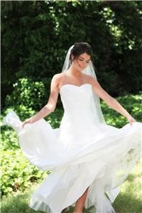Allison Van Zanten Photography
